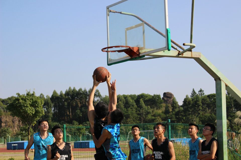3 3
